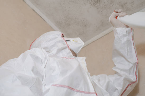 Best Mold Testing and Inspection Services in Mcnary, AZ